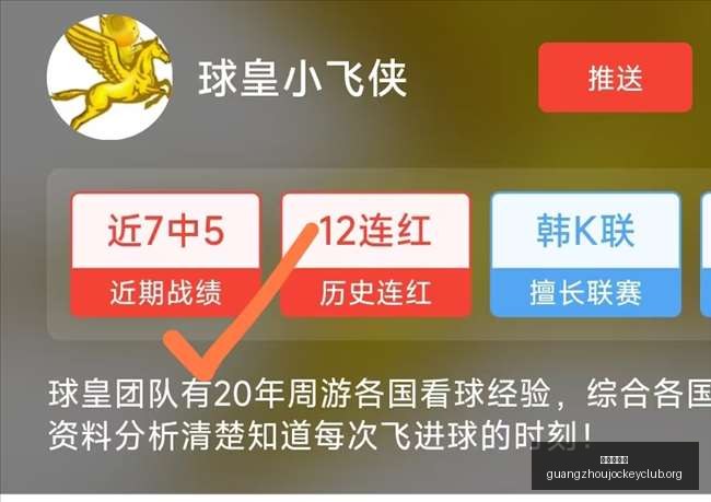 推荐,绝区零,版本危机挑,广州赛马会,广州赛马,赛马活动,马术赛事
